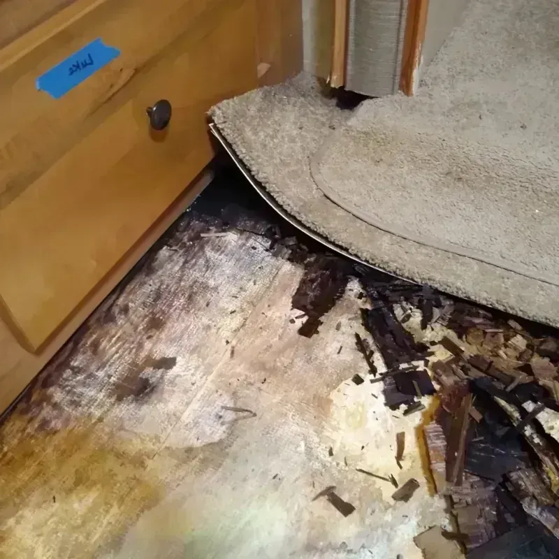 Wood Floor Water Damage in Sun Prairie, WI